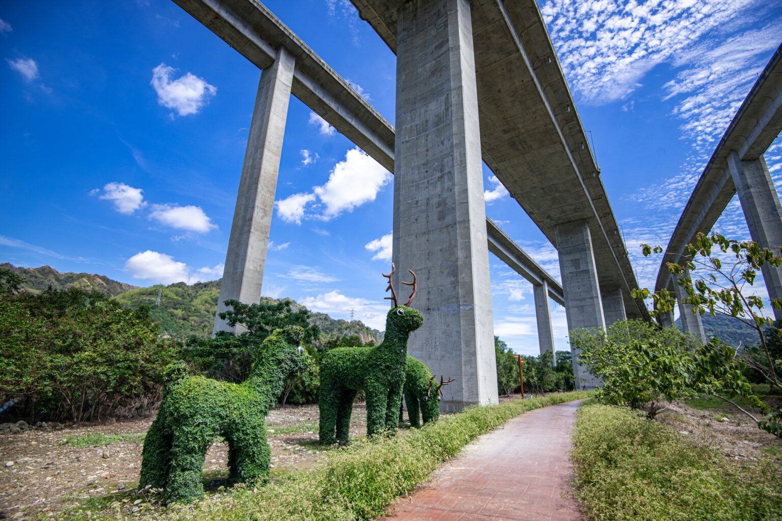 南投橋聳雲天綠雕園區春節免費入園 打卡就送香草植物